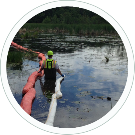 Environmental Consulting